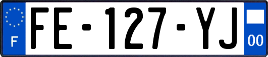 FE-127-YJ