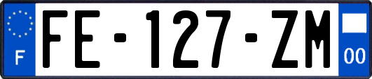 FE-127-ZM