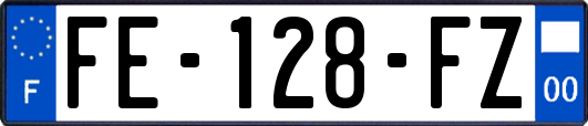 FE-128-FZ