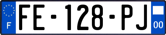 FE-128-PJ