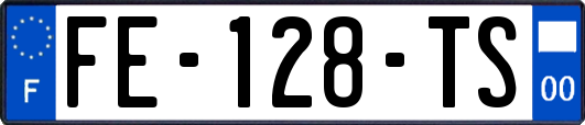 FE-128-TS