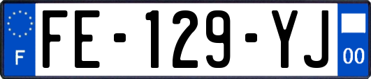 FE-129-YJ