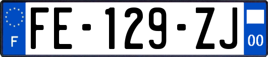 FE-129-ZJ