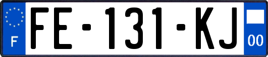 FE-131-KJ