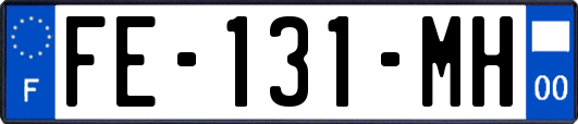 FE-131-MH