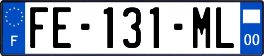 FE-131-ML