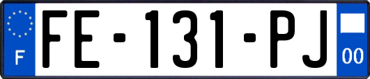 FE-131-PJ