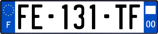 FE-131-TF