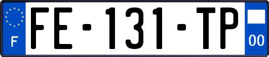 FE-131-TP