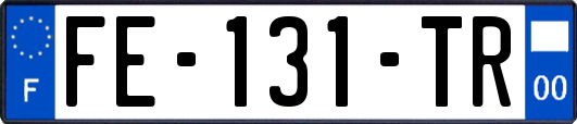 FE-131-TR
