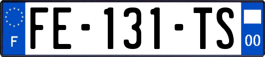 FE-131-TS