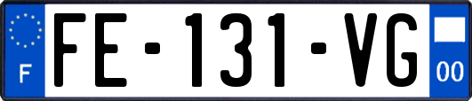 FE-131-VG