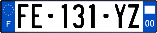 FE-131-YZ