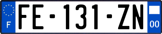 FE-131-ZN