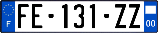 FE-131-ZZ