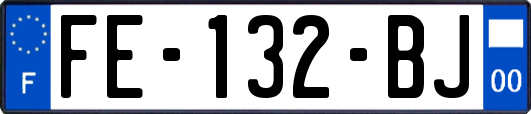 FE-132-BJ