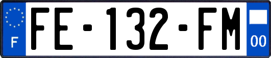 FE-132-FM