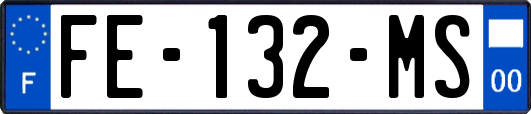 FE-132-MS