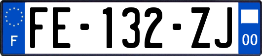 FE-132-ZJ