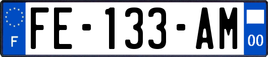 FE-133-AM