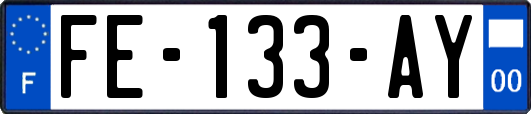 FE-133-AY
