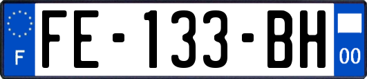 FE-133-BH
