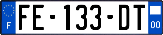 FE-133-DT