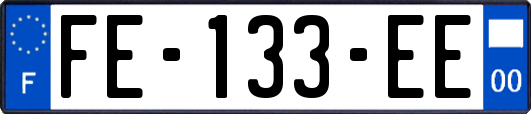 FE-133-EE