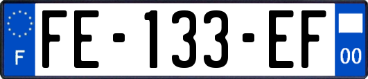 FE-133-EF