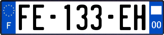 FE-133-EH