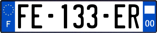 FE-133-ER