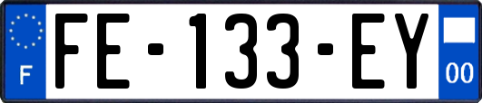 FE-133-EY