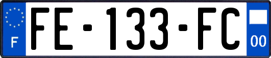 FE-133-FC