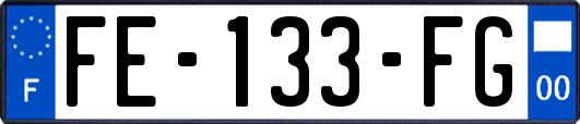 FE-133-FG