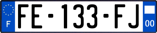 FE-133-FJ