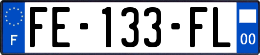 FE-133-FL