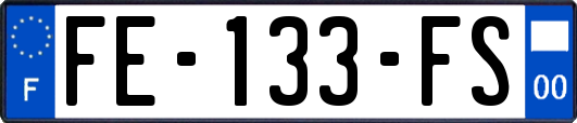 FE-133-FS