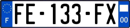 FE-133-FX