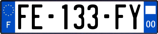FE-133-FY