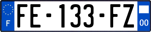 FE-133-FZ