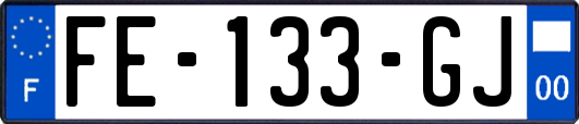 FE-133-GJ