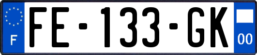 FE-133-GK