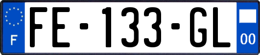 FE-133-GL