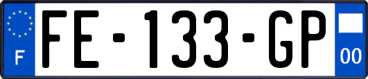 FE-133-GP