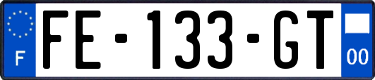 FE-133-GT