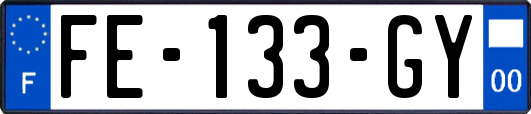 FE-133-GY