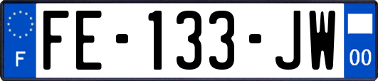 FE-133-JW