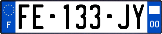 FE-133-JY