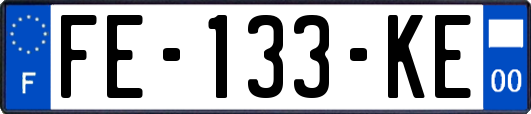 FE-133-KE