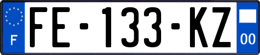 FE-133-KZ
